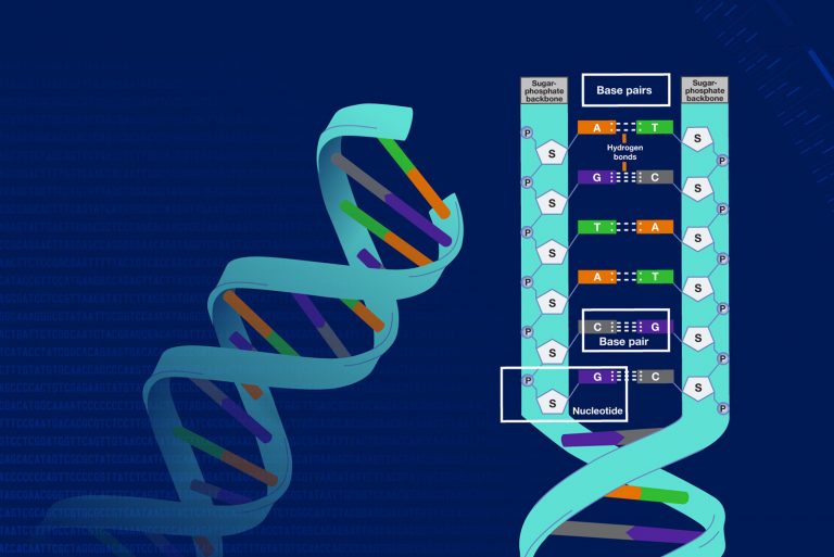 Gene Profiling and Forecasting Your Destiny