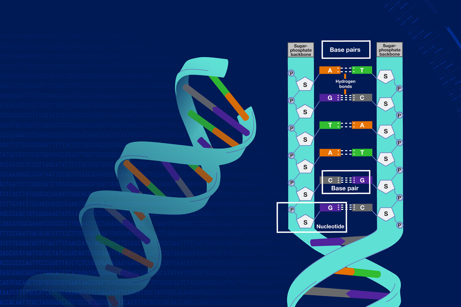 Gene Profiling and Forecasting Your Destiny
