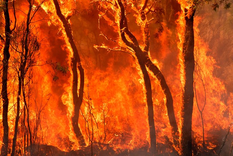 Global Warming and Doomsday Scenario in Southeast Asia